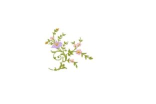 Floral Embroidery Review